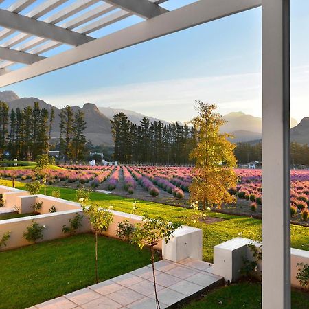 Lavender Farm Boutique Guest House Франсгук Екстер'єр фото