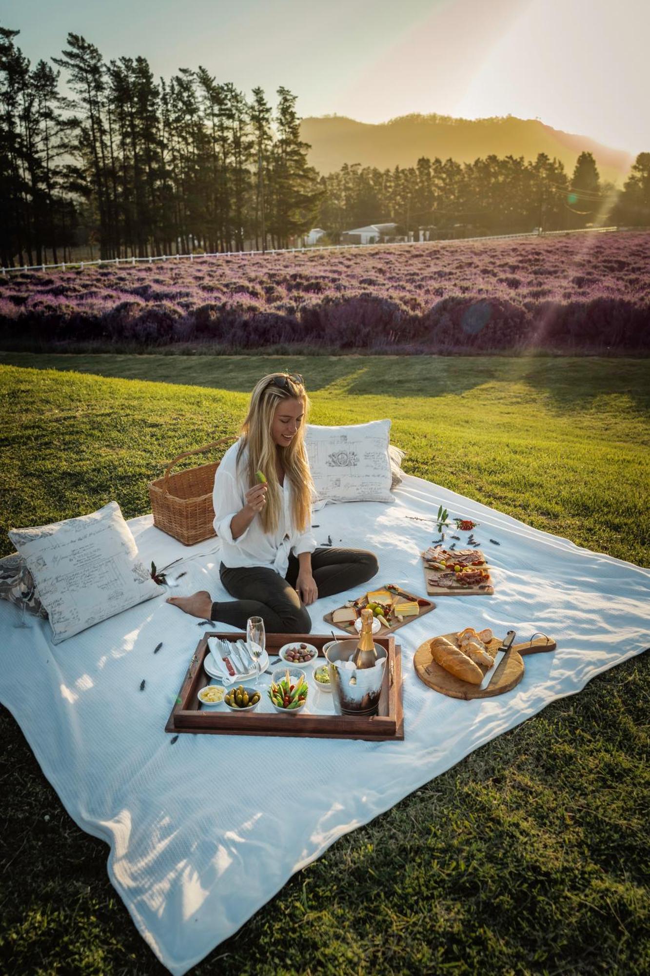 Lavender Farm Boutique Guest House Франсгук Екстер'єр фото