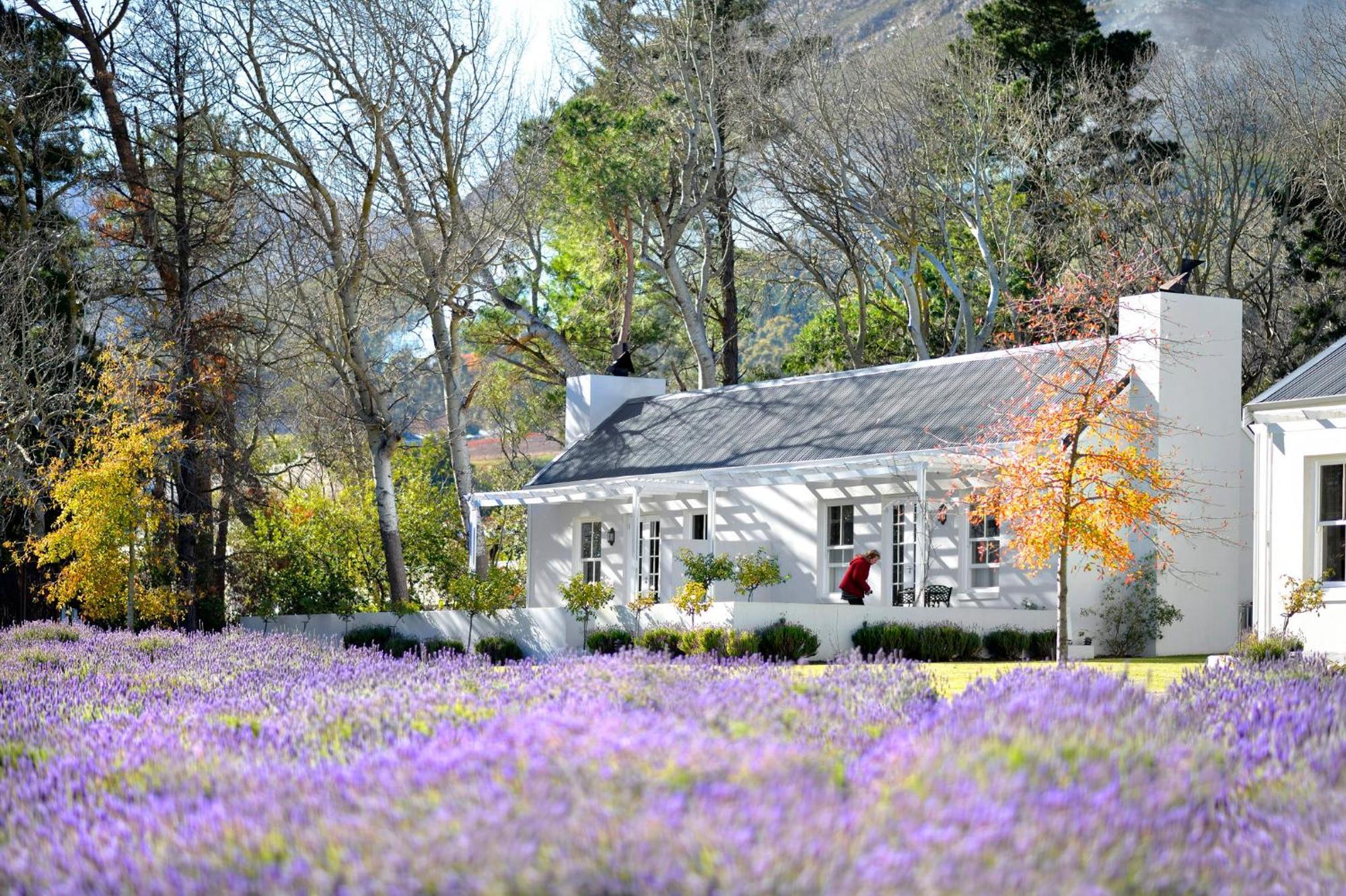 Lavender Farm Boutique Guest House Франсгук Екстер'єр фото