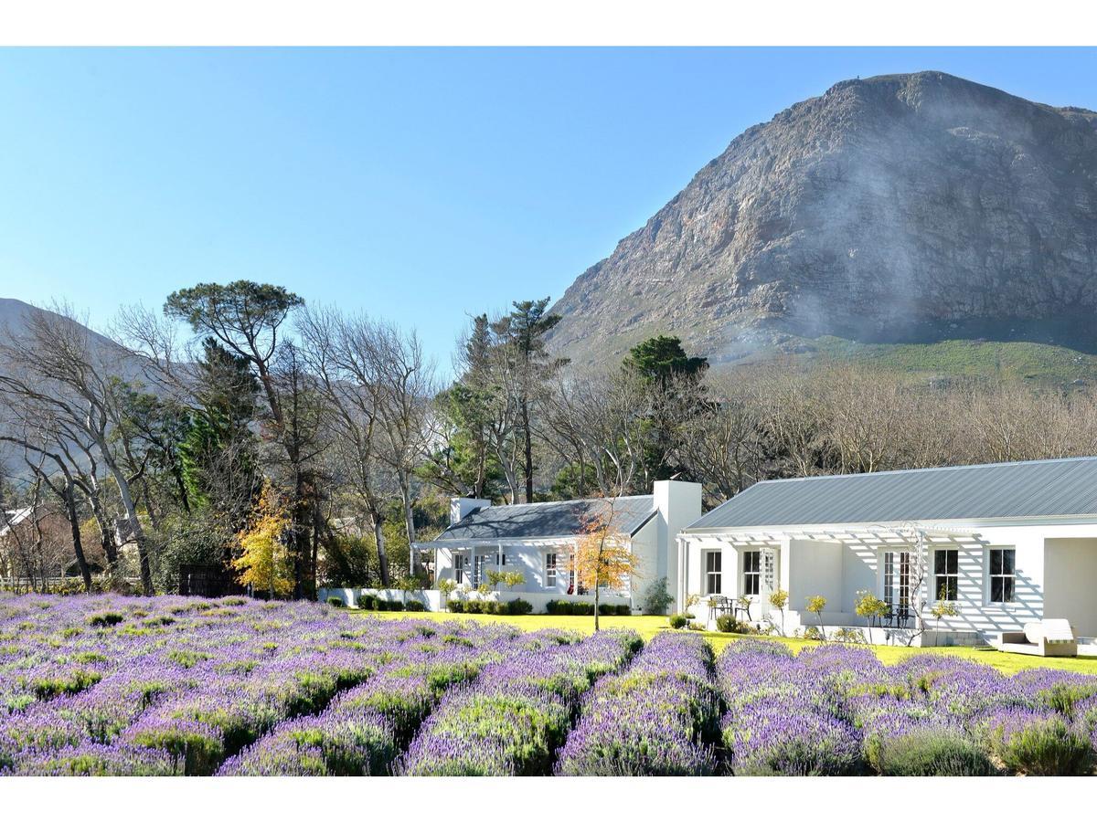 Lavender Farm Boutique Guest House Франсгук Екстер'єр фото