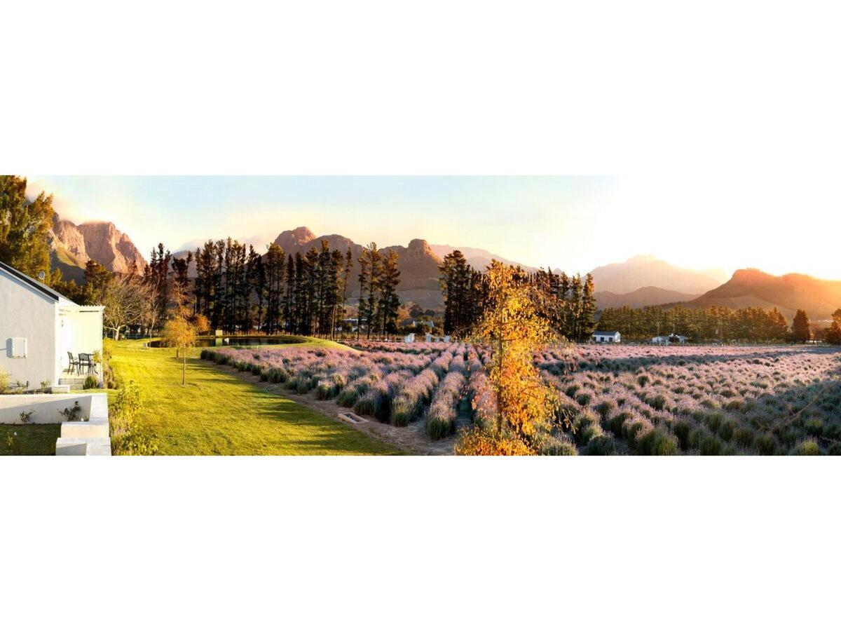 Lavender Farm Boutique Guest House Франсгук Екстер'єр фото